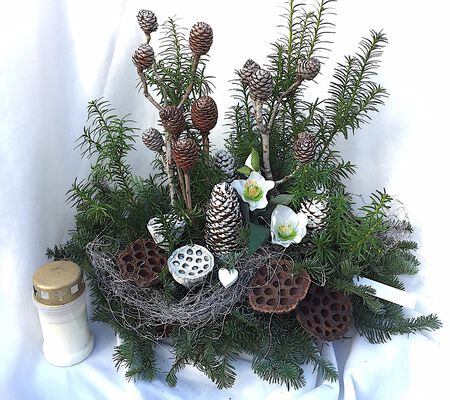 Waldcharakter Gedenk Gesteck mit Christrosen