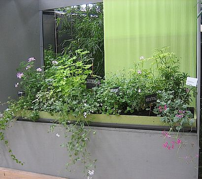 Duftender Balkonkasten