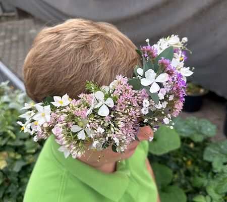 Haarkranz Sommerwiese August