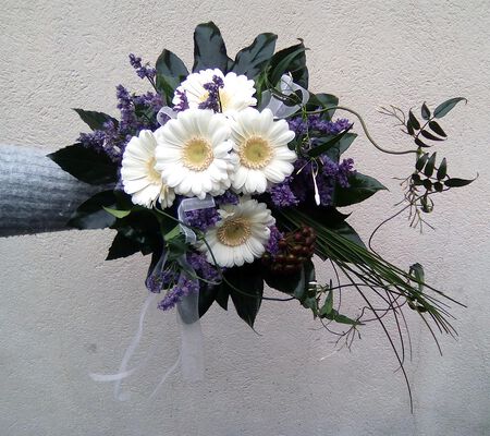 weisse Gerbera in Begleitung