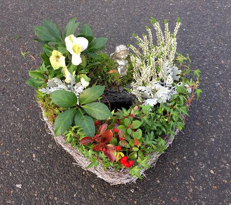 bepflanzes Herz mit wachendem Engel Okt