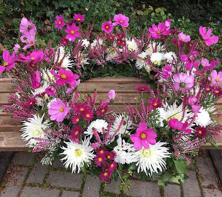 Cosmeen Sommer Gruss