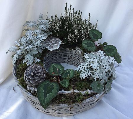 Pflanzkranz in weiss i. Oktober